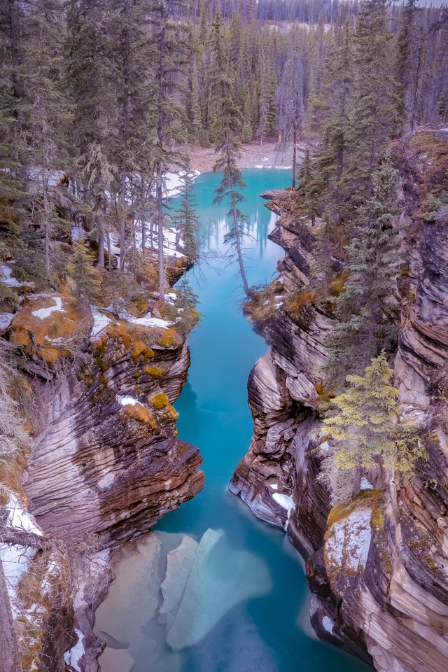 Athabasca Falls Canyon — Steemit