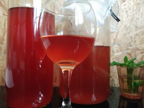 Recette N°120 - Kombucha de l'été - Crédit photo izart.fr