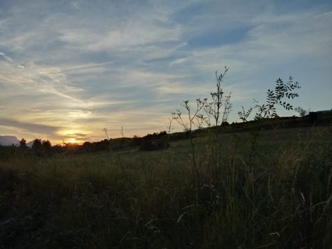 Luttez contre la sécheresse plantez des éoliennes - Crédit photo izart.fr