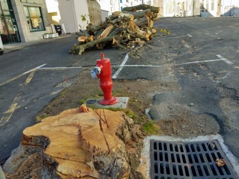 Non leur coeur n'était pas creux - Crédit photo izart.fr