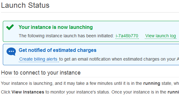 aws vps instance launched