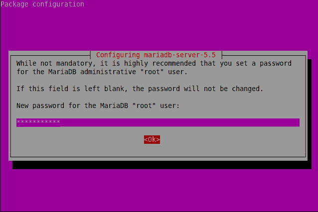Set MariaDB Root Password Ubuntu