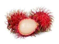 Rambutan (เงาะ - Ngoh) Nephelium lappaceum