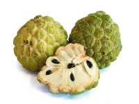 Custard-apple (น้อยหน่า - Noinah) Annona reticulata