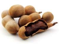 Tamarind (มะขาม - Makahm) Tamarindus indica