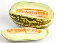 Thai Melon (แตงไทย - Tangtai) Cucumis melo