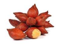 Zalacca (สลัก - Salak) Salacca zalacca