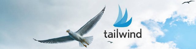 Tailwind: Media.net results