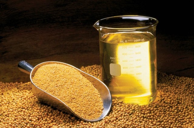 North America Soybean Oil Market