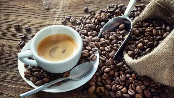 North America Specialty Coffee Market 