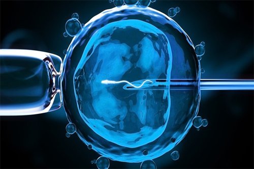 Vietnam In Vitro Fertilization Market