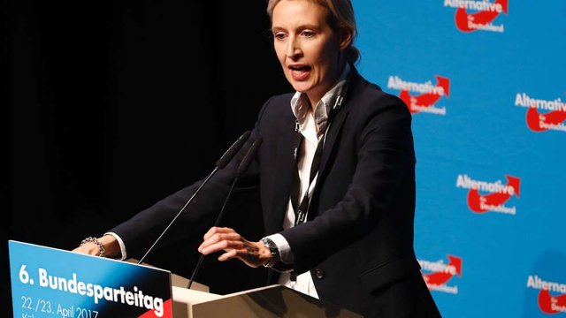 Satirist Is Allowed To Call Alice Weidel Afd A Nazi Slut Steemit