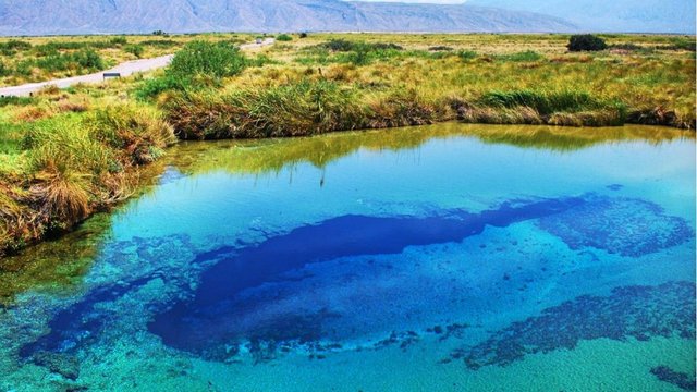 Blue Lagoons in Cuatro Cienegas