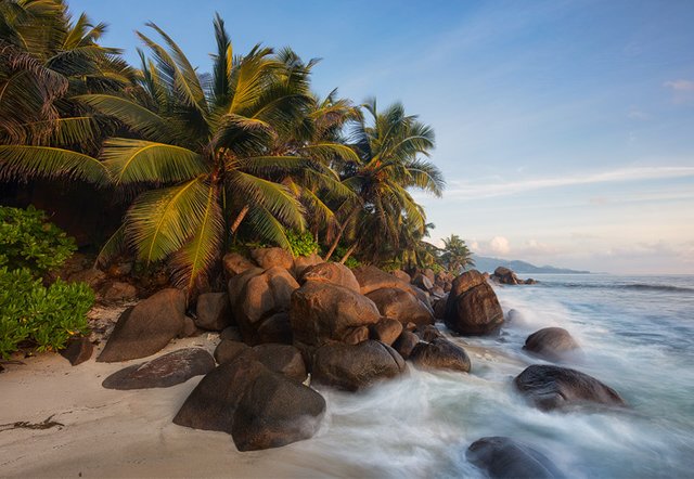 Palm trees and granite rocks line the coast of Mahe