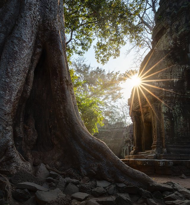 Ta Prohm