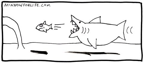 Megalodon chases a minnow.