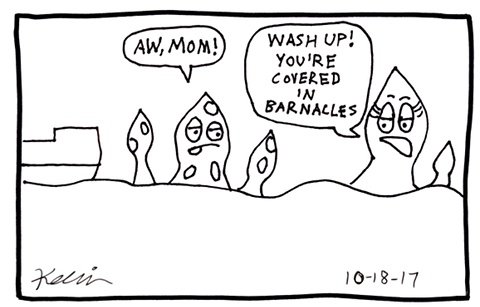 Mom Squid: Wash up! You're covered in barnacles. Kid Squid: Aw, Mom!