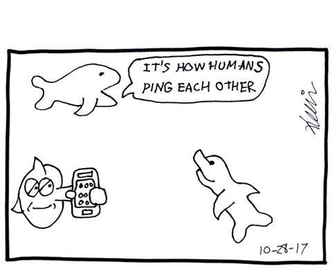 Whale: It's how humans ping each other.