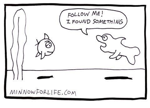 Donnie the Dolphin: Follow me! I found something.