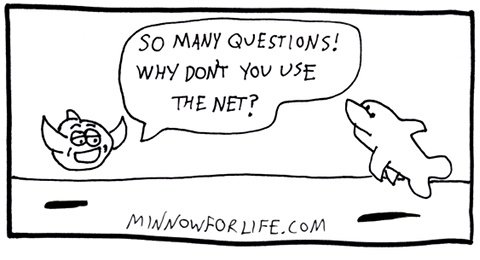Minnow to Donnie the Dolphin: So many questions! Why don't you use the 'net?