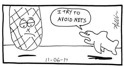 Donnie the Dolphin: I try to avoid nets.