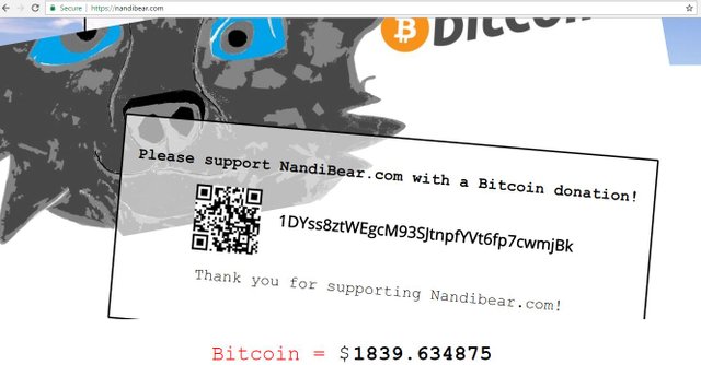 bitcoin-value-market-price-february-7-2017-blockchain.info-nandibear.com-nandibear-nandi-bear
