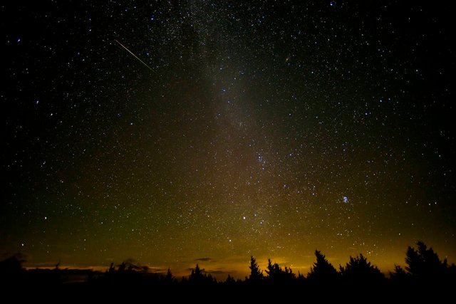 Perseids