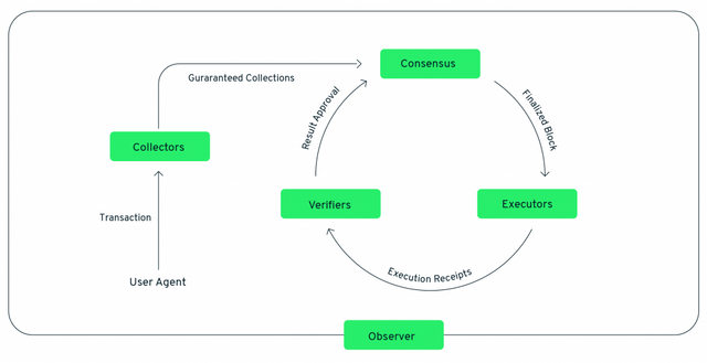 Flow Diagram blockchain collector consensus verifier executors observer