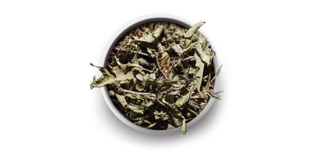 name-Tea-Leaf-to-use.png