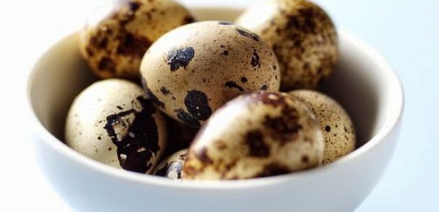 SIDE EFFECTS OF QUAIL EGGS