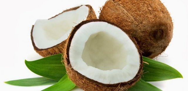 Coconut