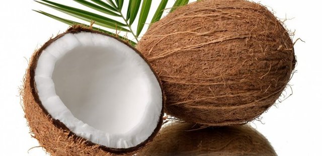 Coconut Oil