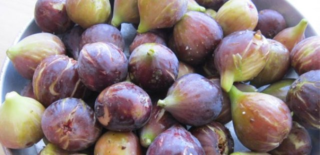 Benefits Of Figs