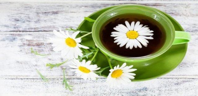 Chamomile tea