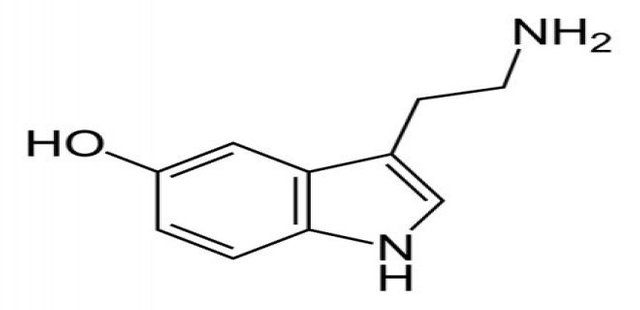 What Is Serotonin Syndrome