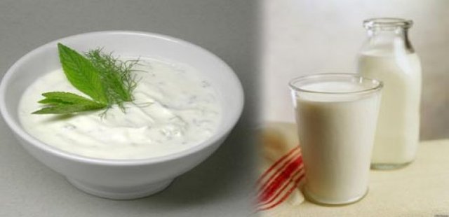 dairy-yogurt