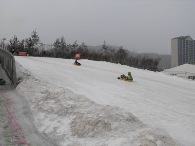 Destination: Pyeongchang Ice / Trout Festival ()