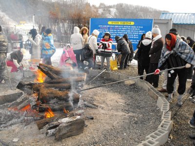 Destination: Pyeongchang Ice / Trout Festival ()