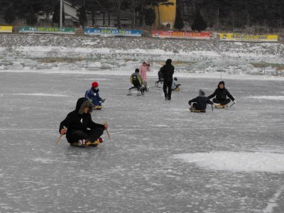 Destination: Pyeongchang Ice / Trout Festival ()