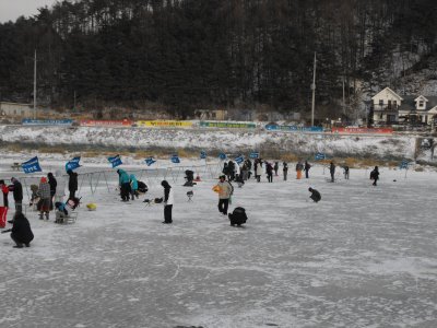 Destination: Pyeongchang Ice / Trout Festival ()