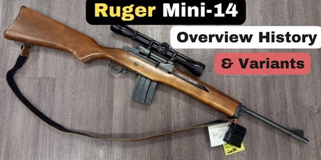 Ruger mini 14