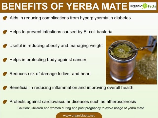 5 Benefits of Yerba Mate