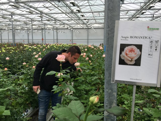 Johan Kloos smelling the roses