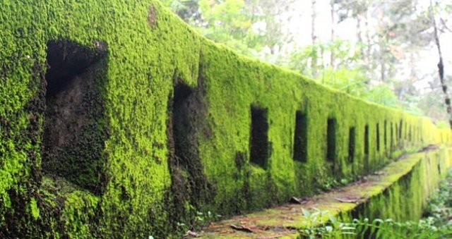 Benteng Pasir Ipis. Sumber situsbudaya.id