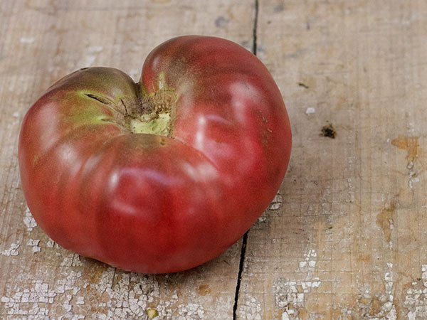 Black Krim Tomato