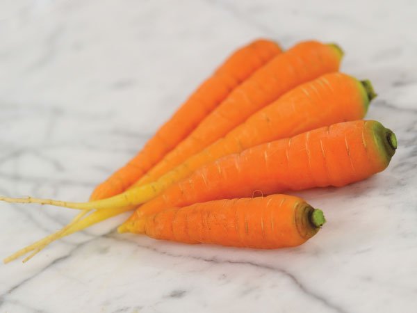 Muscade Carrot