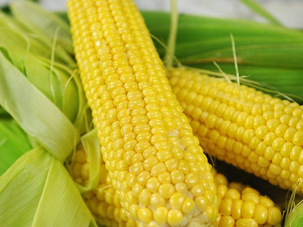 Buhl Sweet Corn