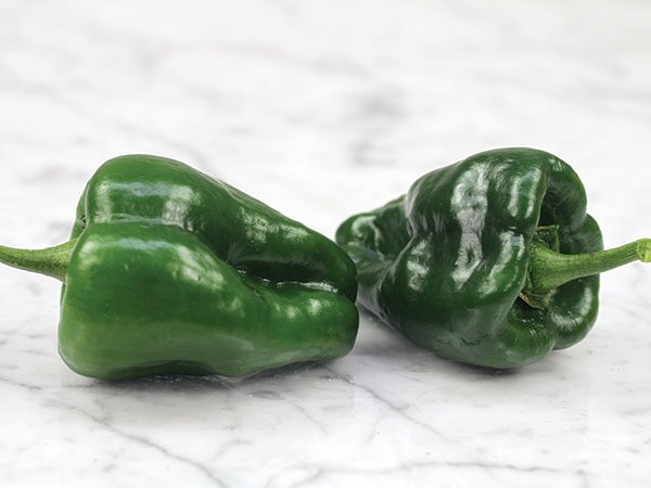 Poblano Pepper