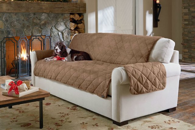 pet-friendly sofas