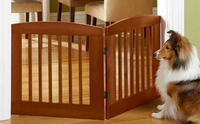 pet-friendly child gate